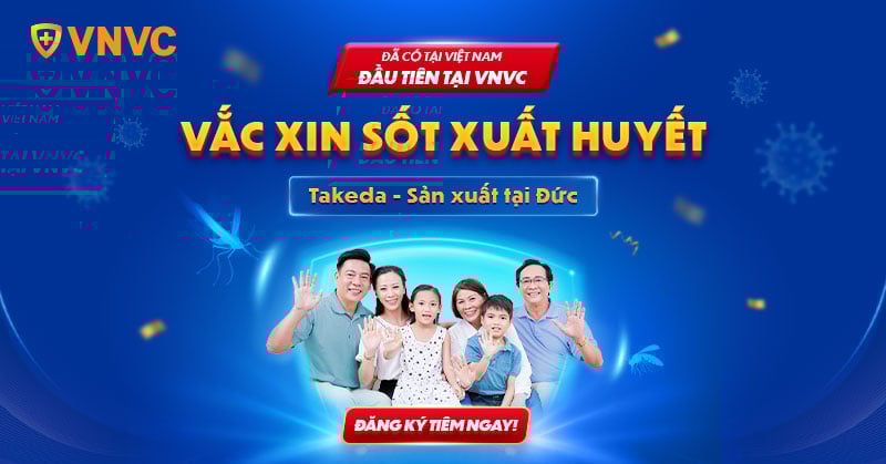 Doanh Số Sedan Việt Nam Nửa Đầu Năm 2025: Xu Hướng Thay Đổi Trên Thị Trường