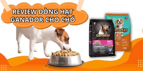 REVIEW DÒNG HẠT GANADOR CHO CHÓ