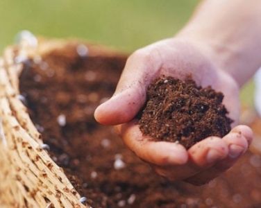 Sự khác biệt giữa phân hóa học và phân hữu cơ