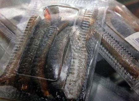 Hải Sâm Sống Lợi Ích, Cách Sử Dụng Và Những Điều Cần Biết 2025