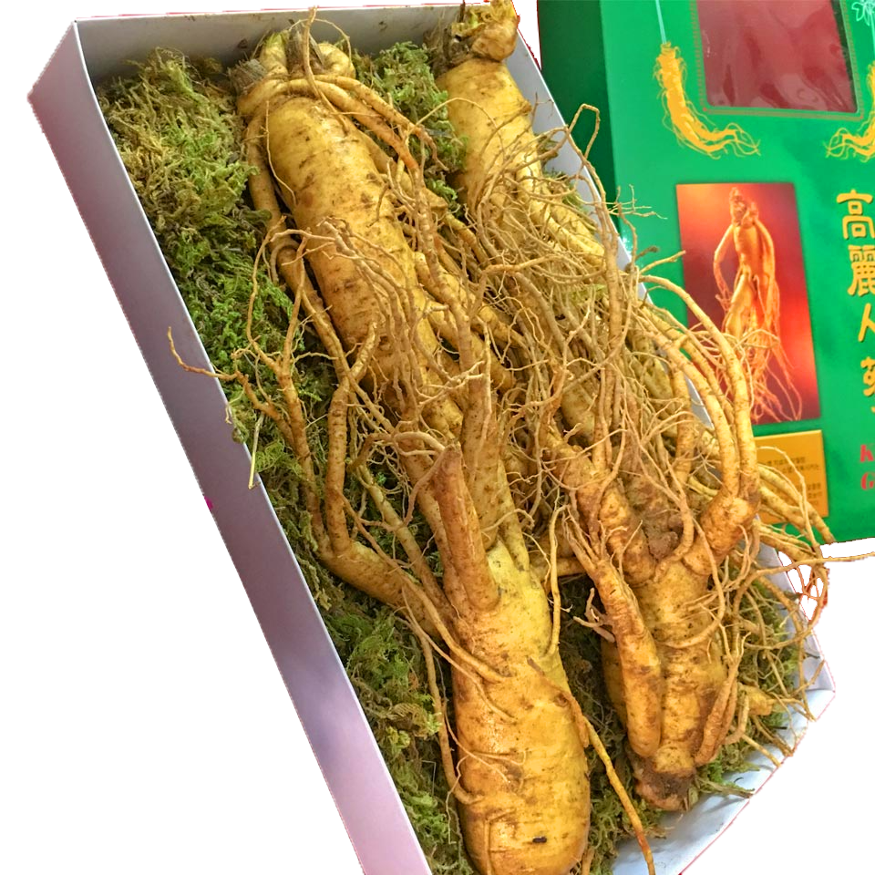 Giá sâm tươi hàn quốc 4 củ 1kg