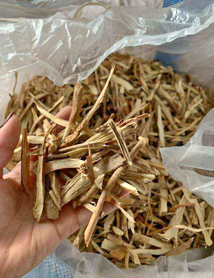 Sâm Cau Tươi Ngâm Rượu Như Thế Nào? Hướng Dẫn Chi Tiết Với 3 Bước