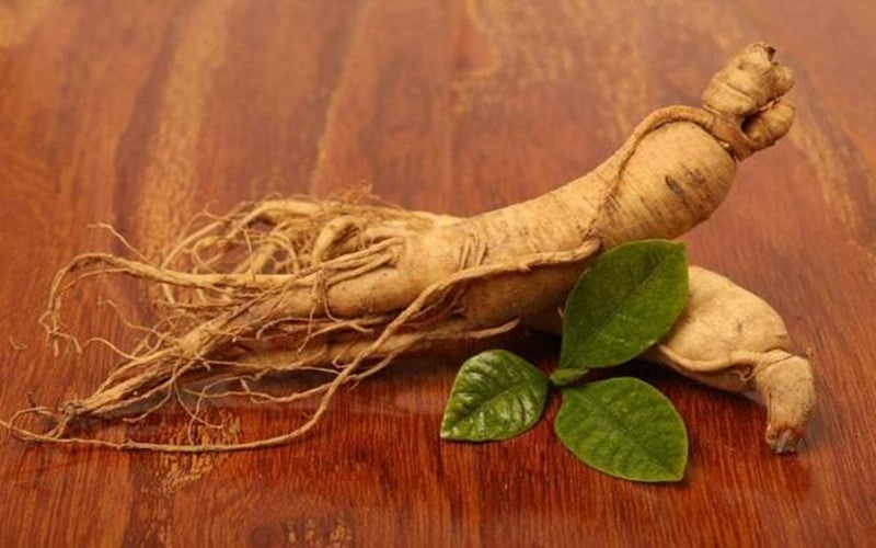 Sâm tươi bảo quản thế nào