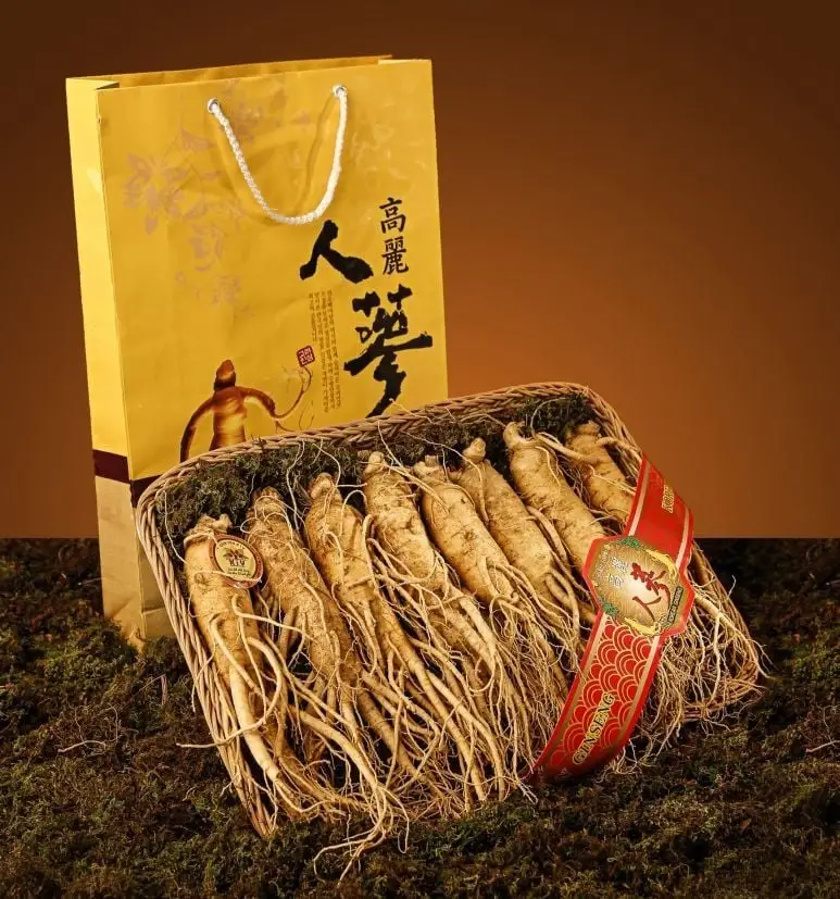 Sâm 10 Củ 1kg Giải Mã Giá Trị Dược Liệu Và Công Dụng
