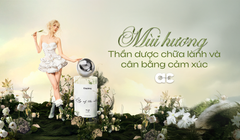 MÙI HƯƠNG – THẦN DƯỢC CHỮA LÀNH VÀ CÂN BẰNG CẢM XÚC