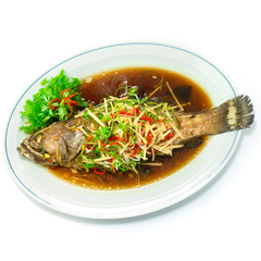 các loại cá mú