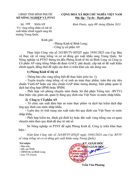 Vùng trồng nhãn có mã số xuất khẩu chính ngạch sang thị trường Trung Quốc