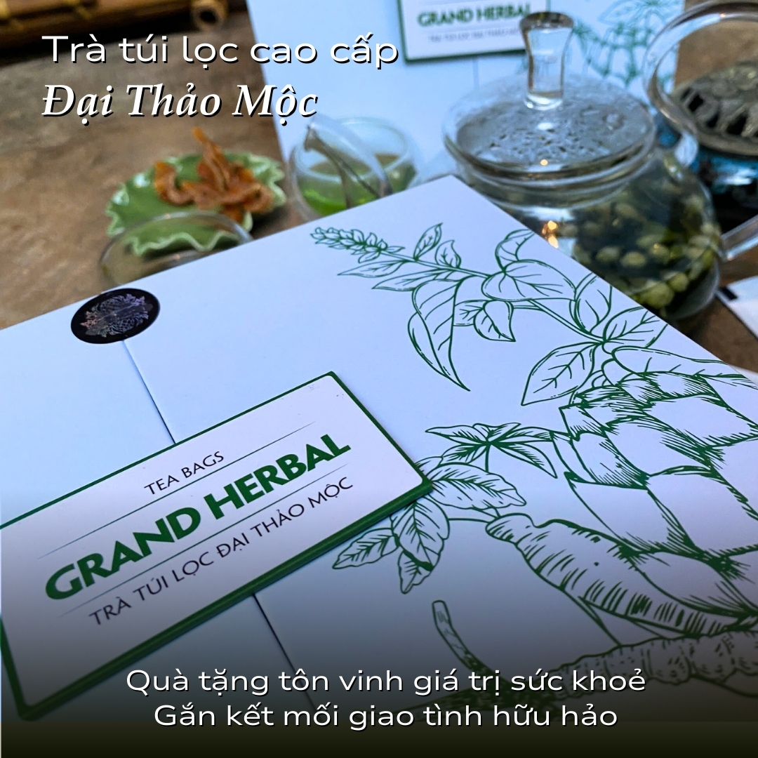 Đại thảo mộc - dòng trà cao cấp quà tặng trân quý