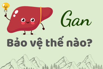 Hướng Dẫn Tăng Cường Chức Năng Gan: Vai Trò Của Trà Atiso và Các Giải Pháp Toàn Diện