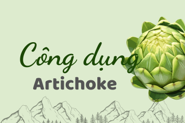 Công dụng của cây Atiso