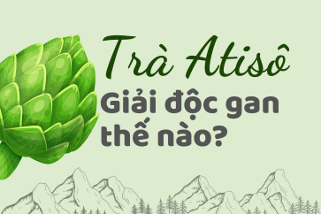 Trà Atiso Giải Độc Gan Như Thế Nào? - Khám Phá Cơ Chế Khoa Học
