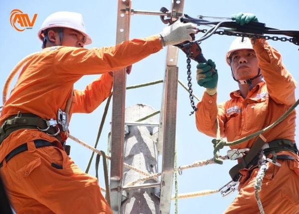 dây đai an toàn thợ điện