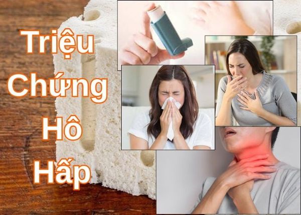 Triệu chứng hô hấp khi tiếp xúc với sản phẩm latex