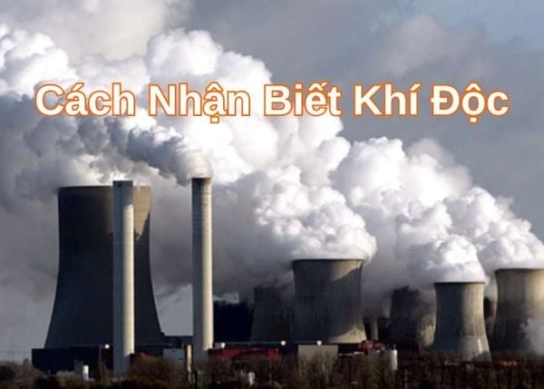 Nhận biết các loại khí độc