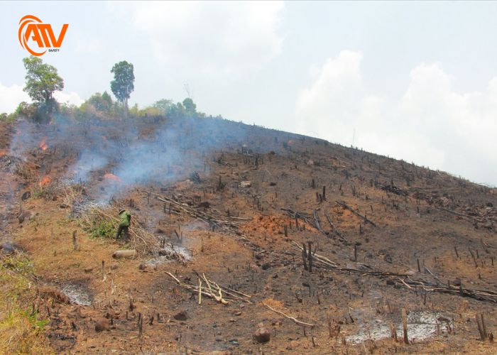 Đốt nương rẫy ở vùng núi