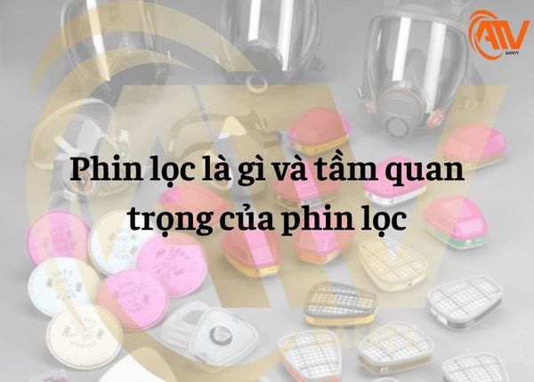 phin-loc-la-gi-tam-quan-trong-phin-loc