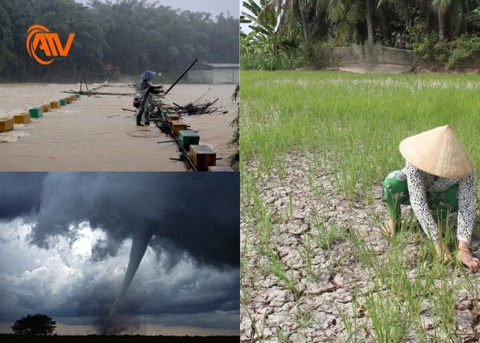 Thiên tai thất thường ở Việt Nam