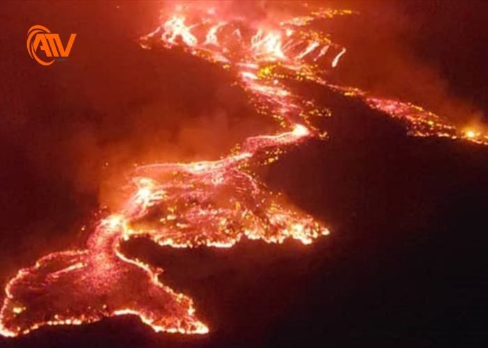 Thiên tai ảnh hưởng nghiêm trọng đến thiên nhiên