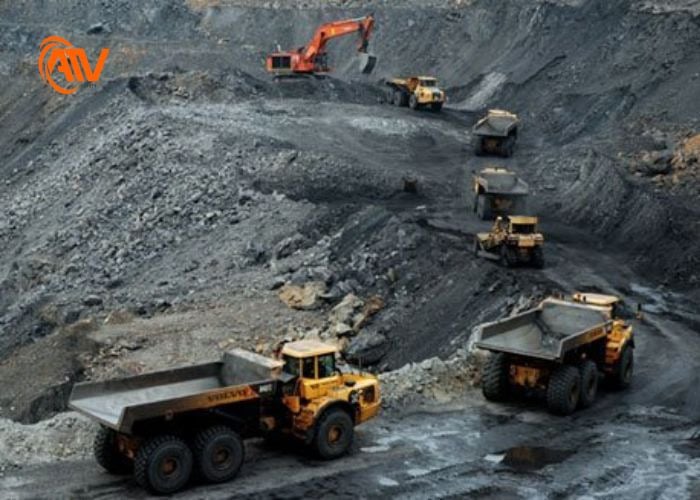 Con người là nguyên nhân gây nên thiên tai 2025