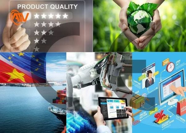 Vai trò của tiêu chuẩn EN