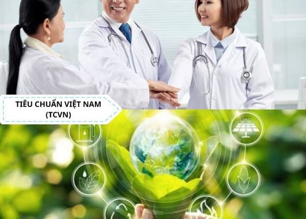 Ứng dụng TCVN trong lĩnh vực dịch vụ và trong quản lý nhà nước