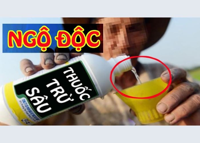 cap-cuu-ngo-doc-thuoc-tru-sau