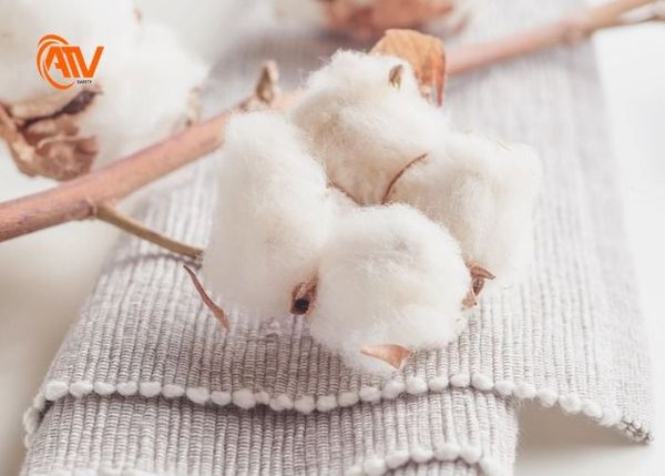Vải cotton làm tự sợi bông thấm hút mồ hôi tốt
