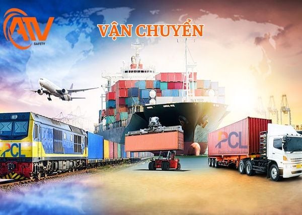 Quá Trình Vận Chuyển