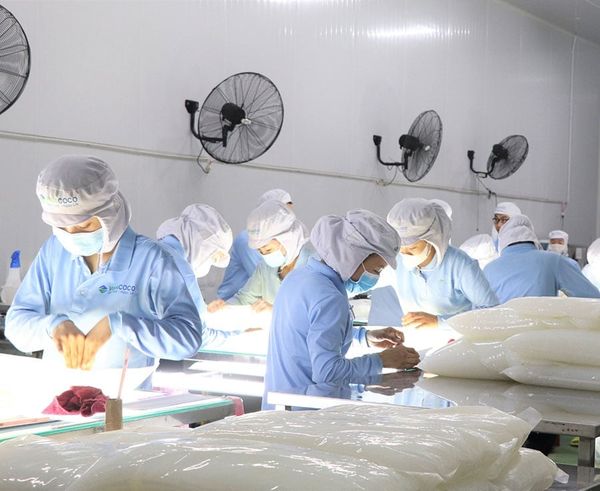 Vietnam's largest coconut jelly producer - VINACOCO receives National Quality Award