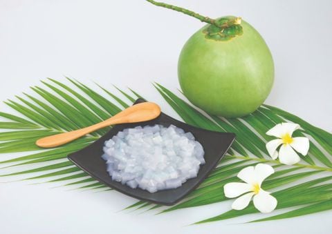 生椰子冻