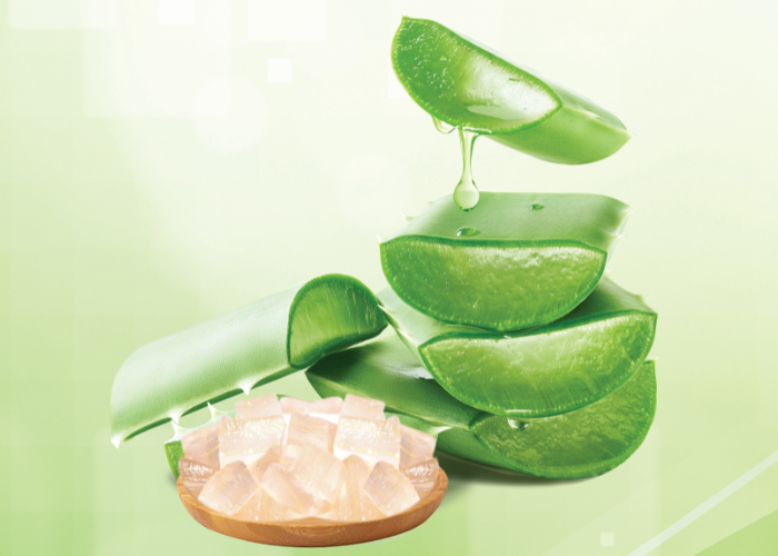 NHA ĐAM <br> NGUYÊN LIỆU