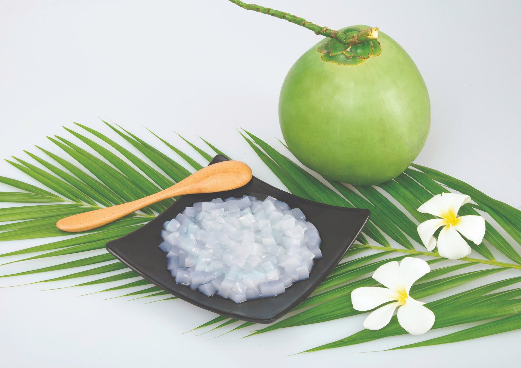 THẠCH DỪA NGUYÊN LIỆU