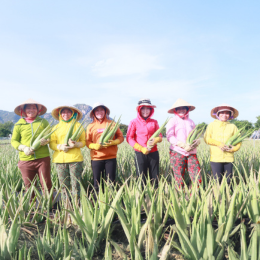 Công Ty Cổ Phần Thực Phẩm G.C