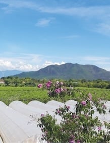 Thành lập Công ty <br> Cổ phần <br> Nắng & Gió <br> (Sun & Wind)