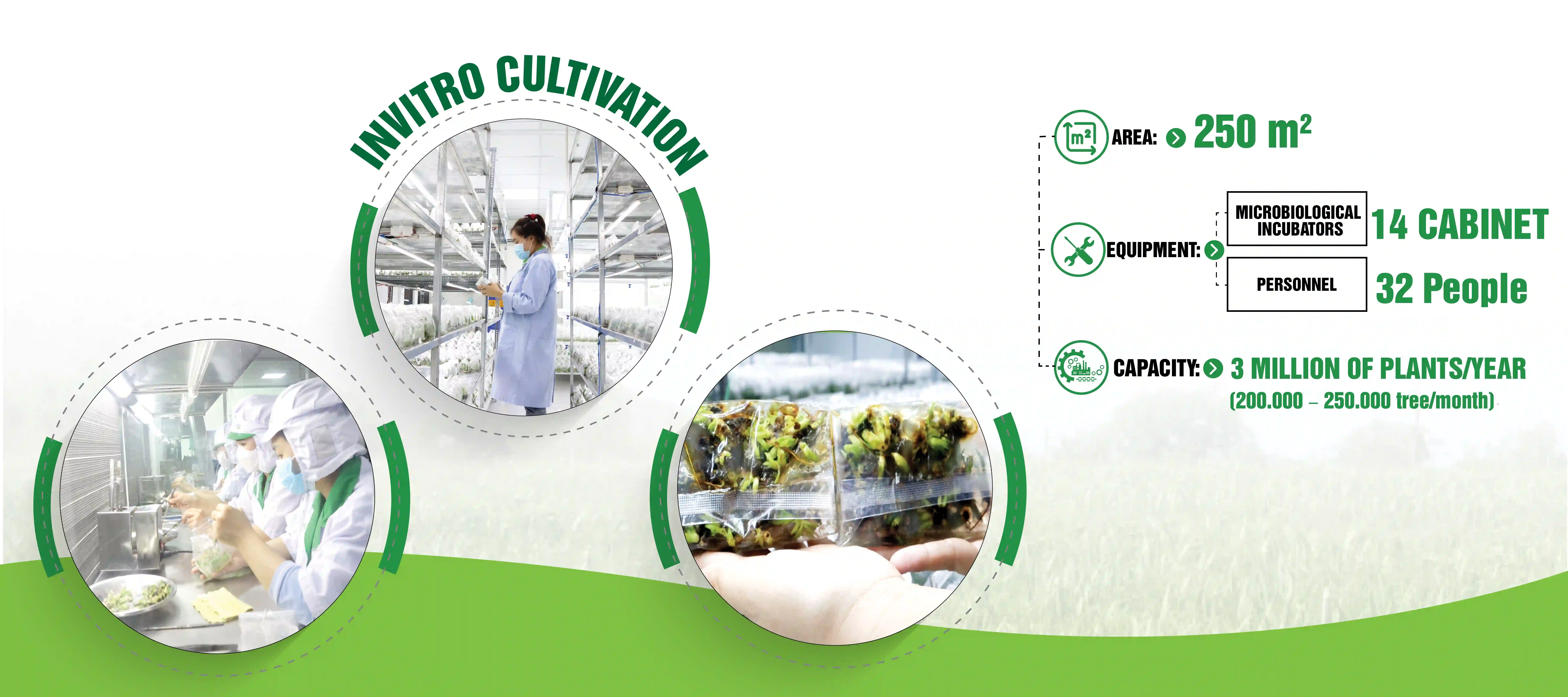 TISSUE CULTURE CENTER