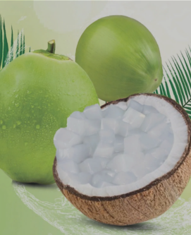 THẠCH DỪA NGUYÊN LIỆU