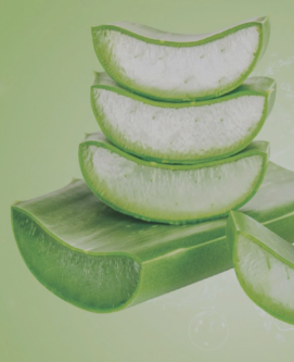 NHA ĐAM NGUYÊN LIỆU