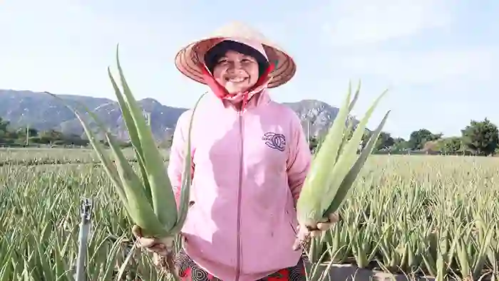 快乐的员工