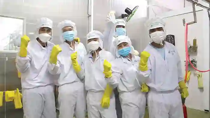 快乐的员工