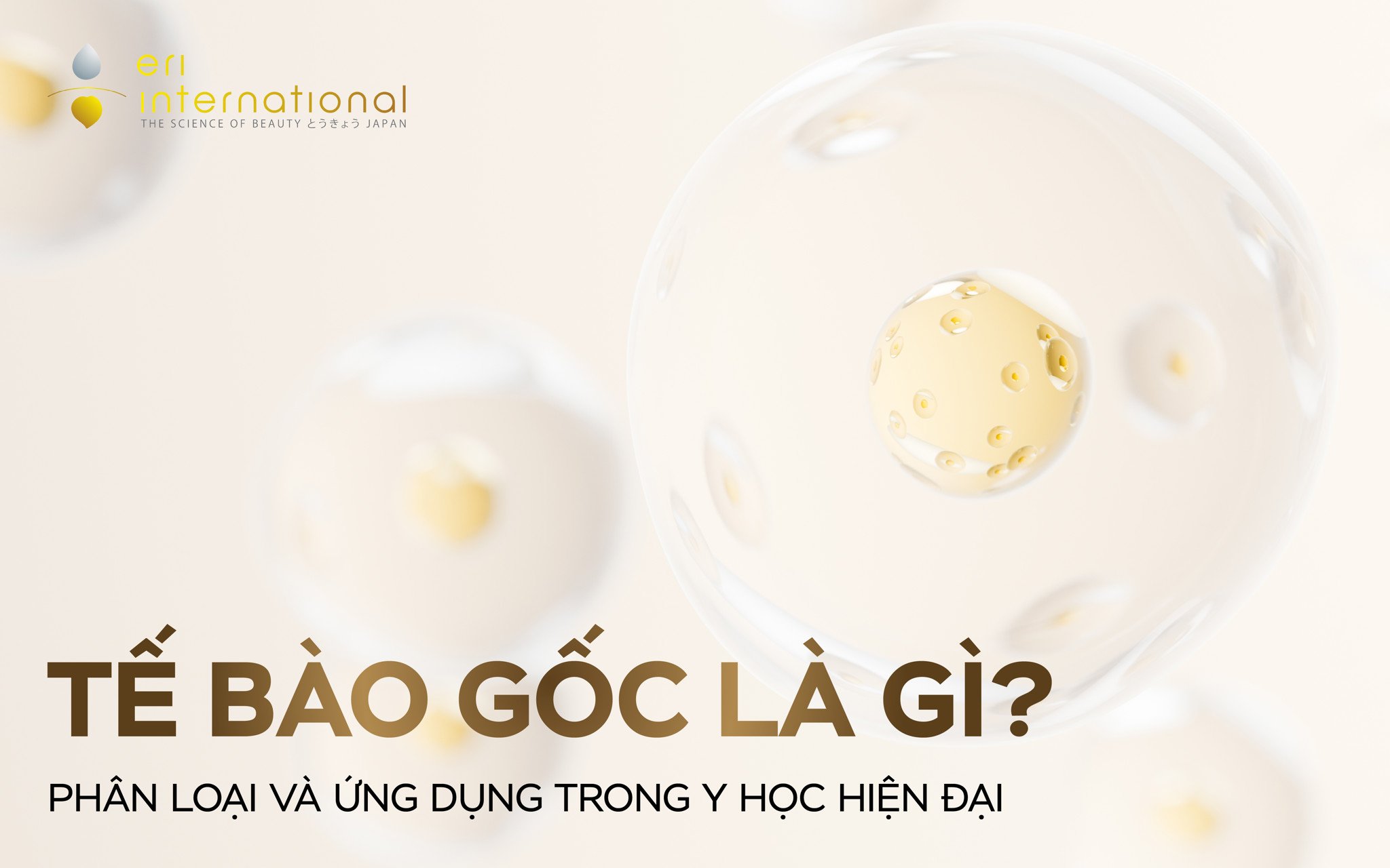 Tế bào gốc - Bí quyết sống khỏe mạnh hạnh phúc đến 120 tuổi!