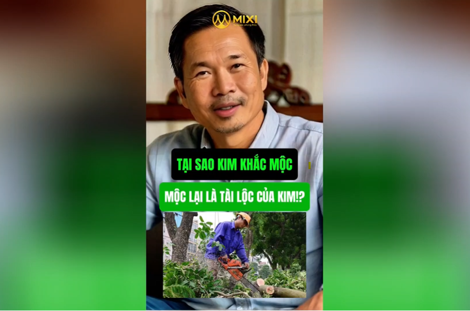 Cùng MIXI tìm hiểu:TẠI SAO KIM KHẮC MỘC, MỘC LẠI LÀ TÀI L ỘC CỦA KIM!?