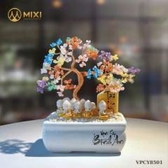 TẶNG CHA MẸ CHẬU CÂY TÙNG - MỘT GÓC BÌNH Y ÊN CHO NGƯỜI ĐÁNG KÍNH!!!