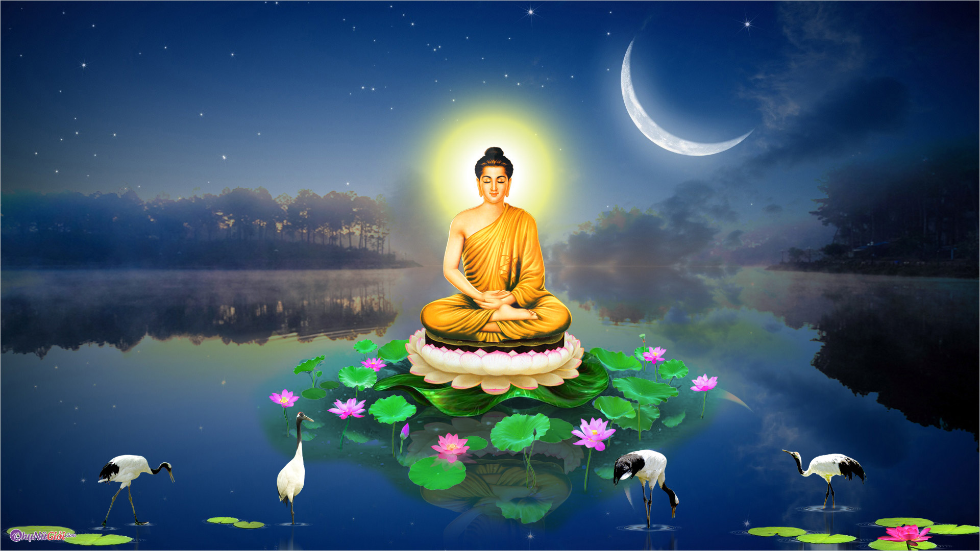 🪷 “Tĩnh lặng như nước hồ thu, Lá rơi cũng chẳng làm xao lòng. Người giữ được một niệm lành, Chính là đang thắp đèn giữa vô minh.”