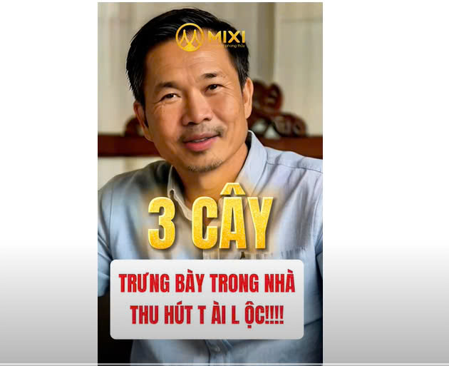 3 CÂY trưng bày trong nhà giúp thu hút tài lộc, may mắn!!!