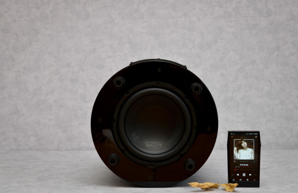 Mở hộp Loa Subwoofer Elipson Planet Sub