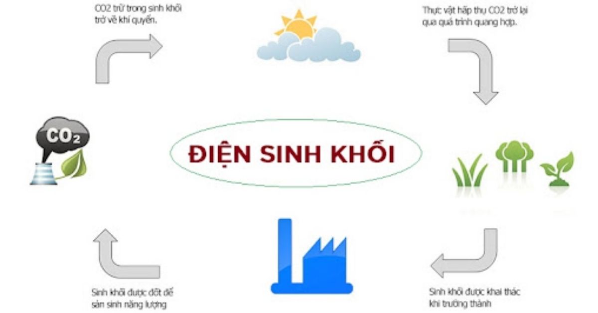 thietbidienvinhquang.com - Điện sinh khối là gì?