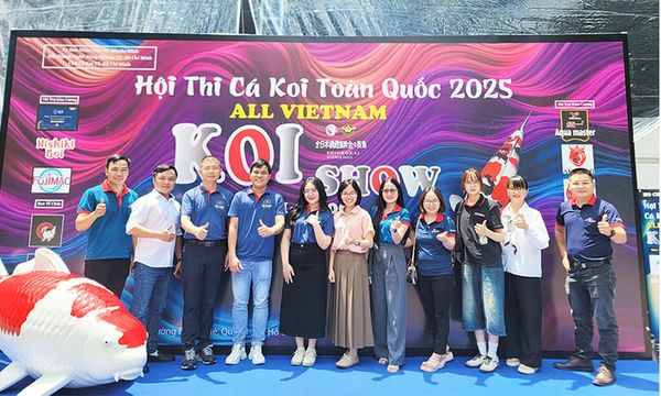 Aqua master và Koilover tại All Vietnam Koi Show 2025