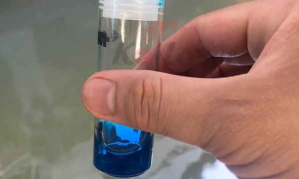 Hồ koi bị nhiễm NH₃ quá cao - Nguyên nhân, tác hại và cách xử lý