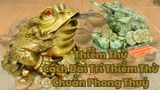 Ý Nghĩa Phong Thuỷ, Cách Bài Trí Thiềm Thừ Chuẩn Phong Thuỷ