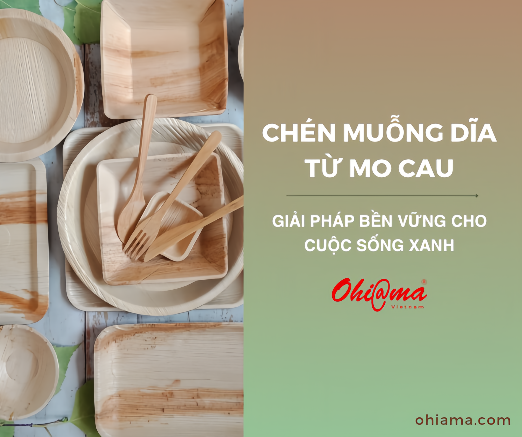 Chén muỗng dĩa từ mo cau - Giải pháp bền vững cho cuộc sống xanh